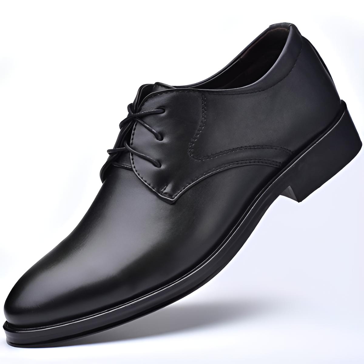 William | Elegant Pointed Toe Shoes