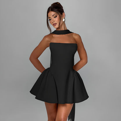Lorelei | Women’s Strapless Tube Dress – Backless Party Bodycon